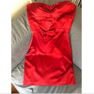 Just in Time for Holidays - Sexy Cache Dress!